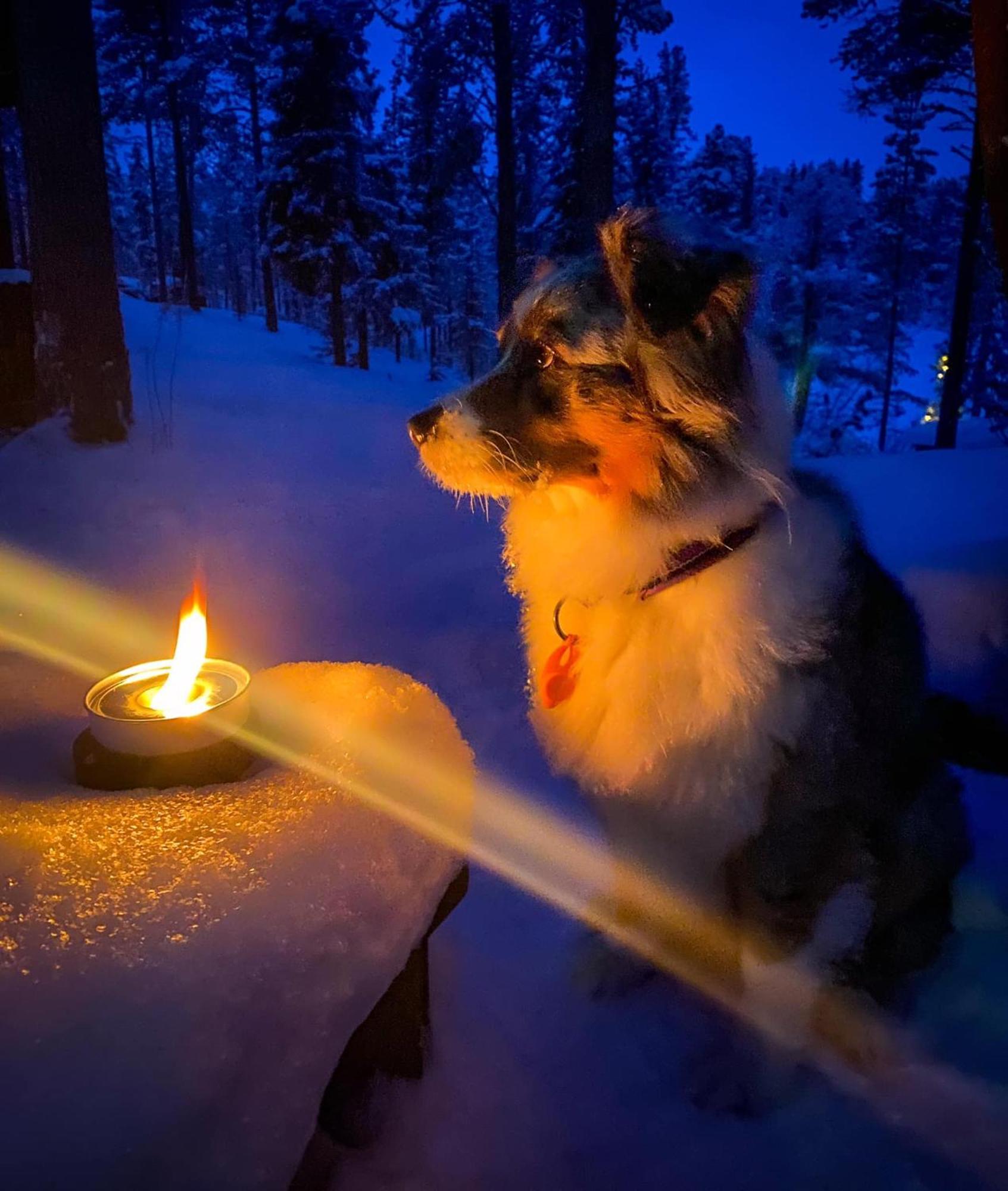 Вилла Aurora Camp Kurravaara Экстерьер фото